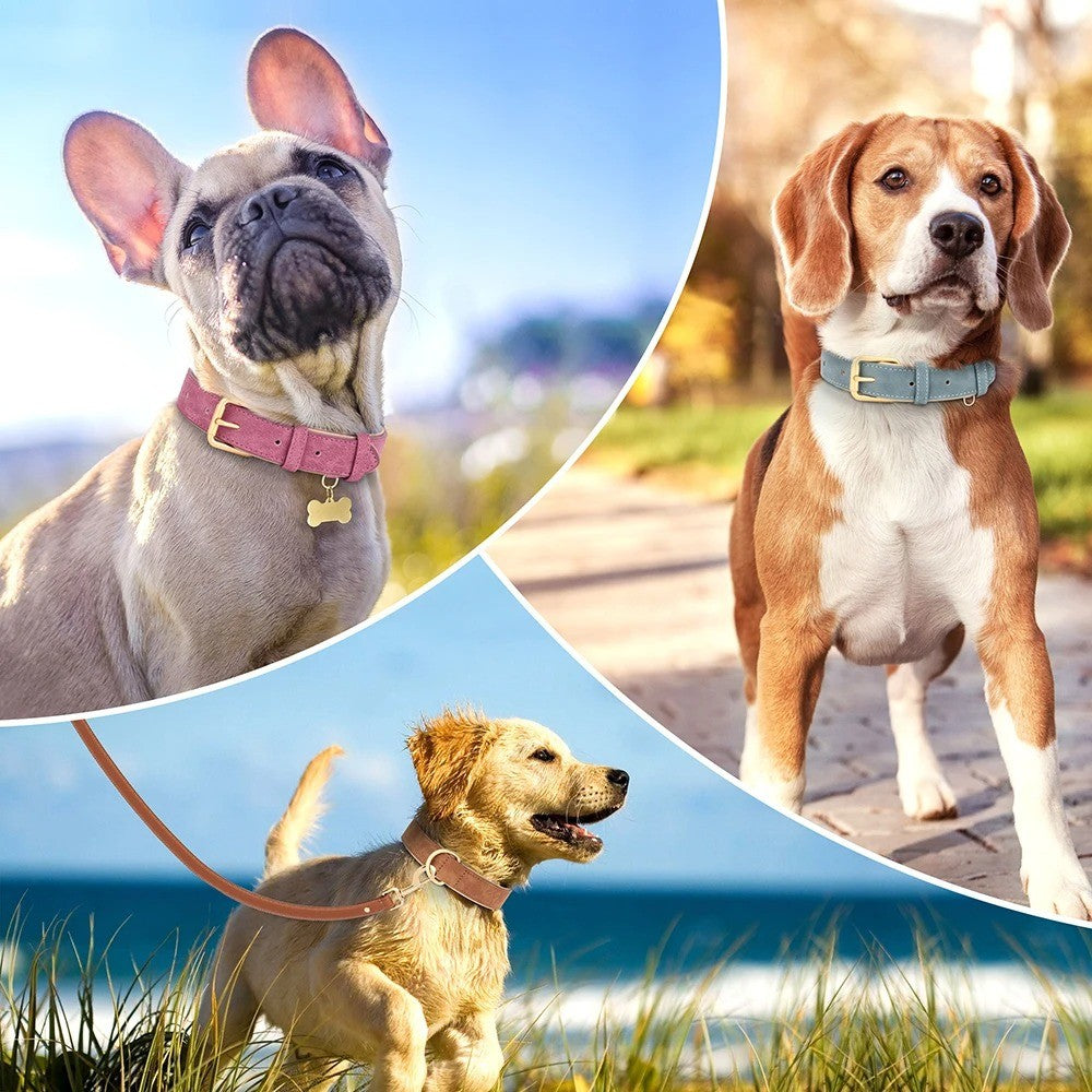 Collar de Cuero Ajustable para Perros – Suavidad, Resistencia y Estilo