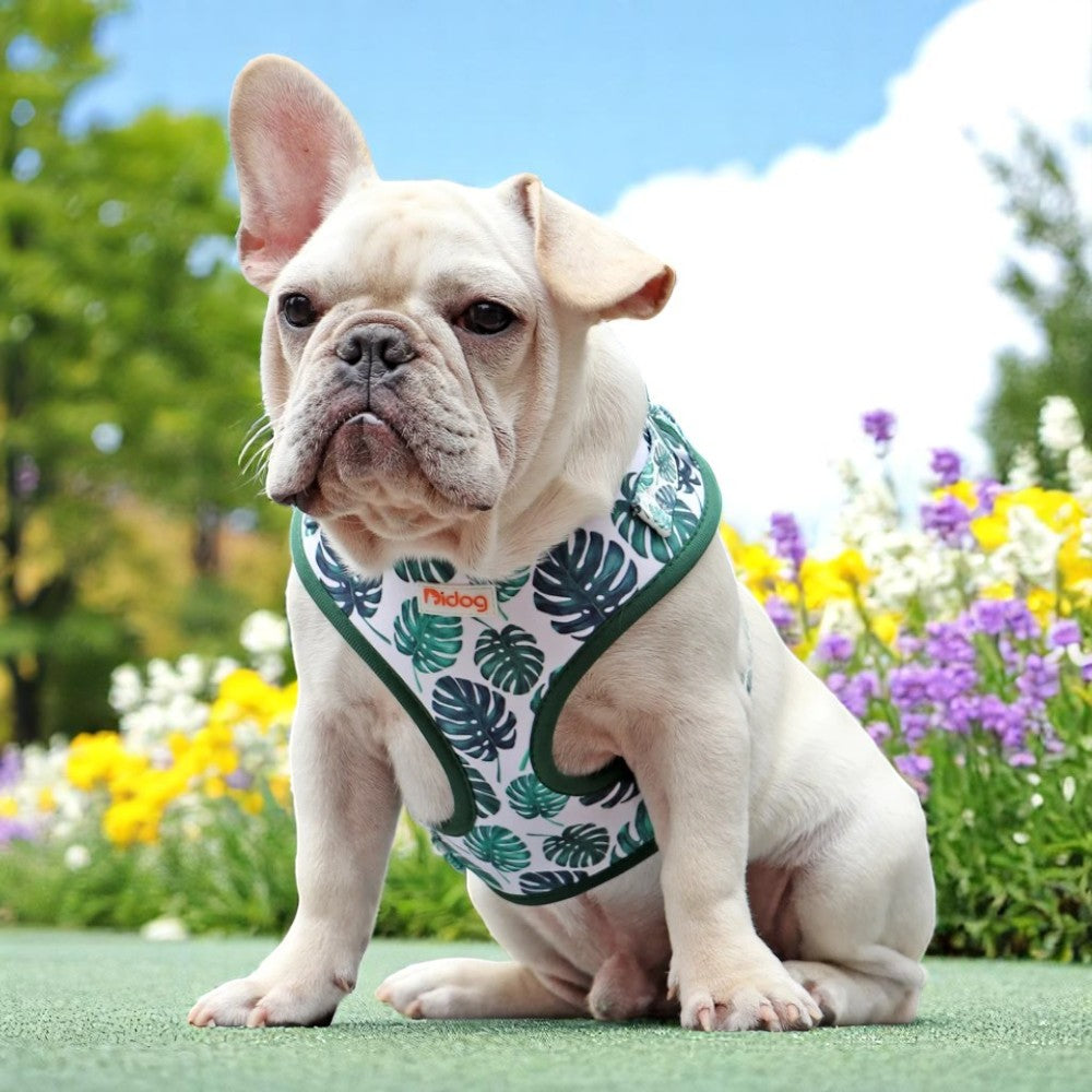 Arnés Ajustable para Perros y Gatos con Estampado de Monstera