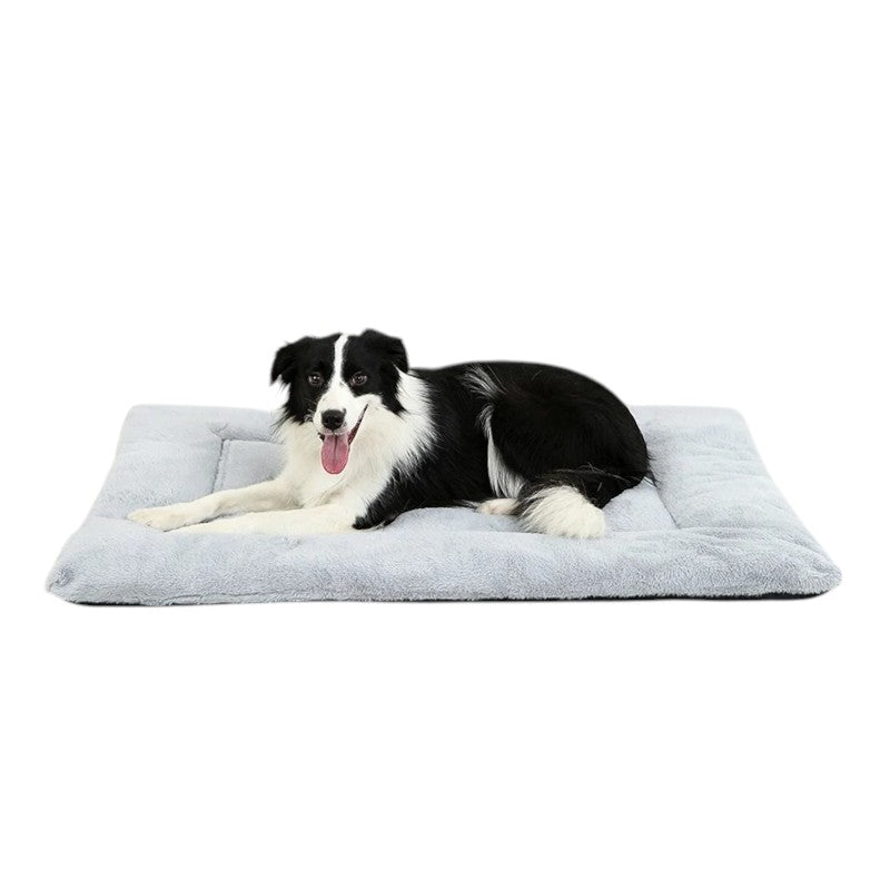 Cama de Algodón 100% para Perros – Comodidad y Suavidad Inigualables