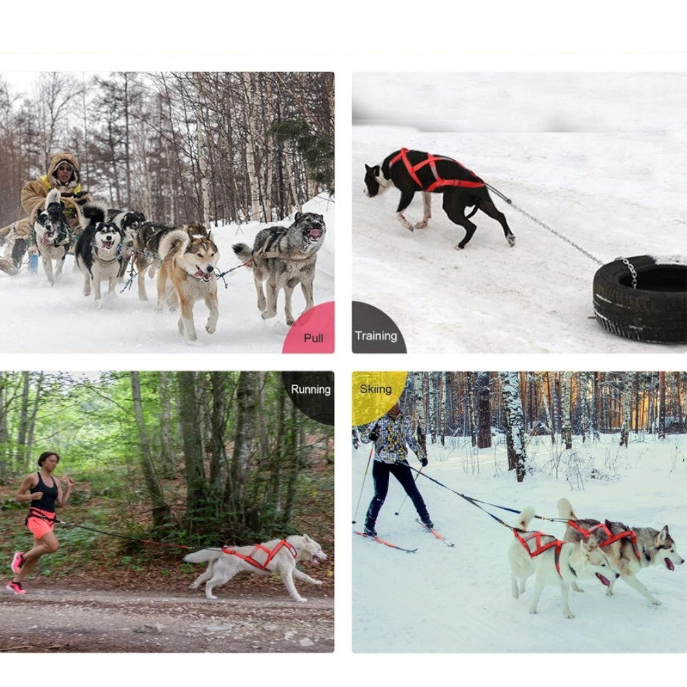 Arnés de tiro para perros grandes – Control, fuerza y seguridad