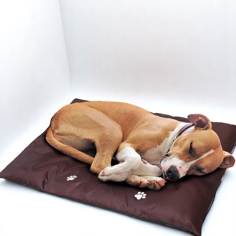 Cama Impermeable y Lavable para Perros y Gatos | Máxima Comodidad Todo el Año