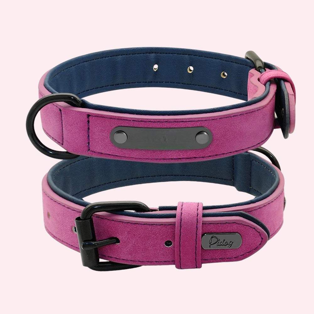 Set púrpura de collar y correa de cuero para perros – Estilo y protección