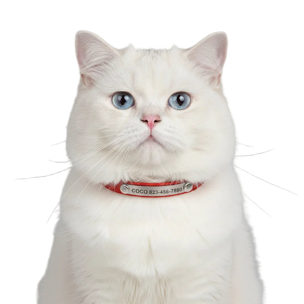 Collar Brilloso para Gatos y Perros Rojo