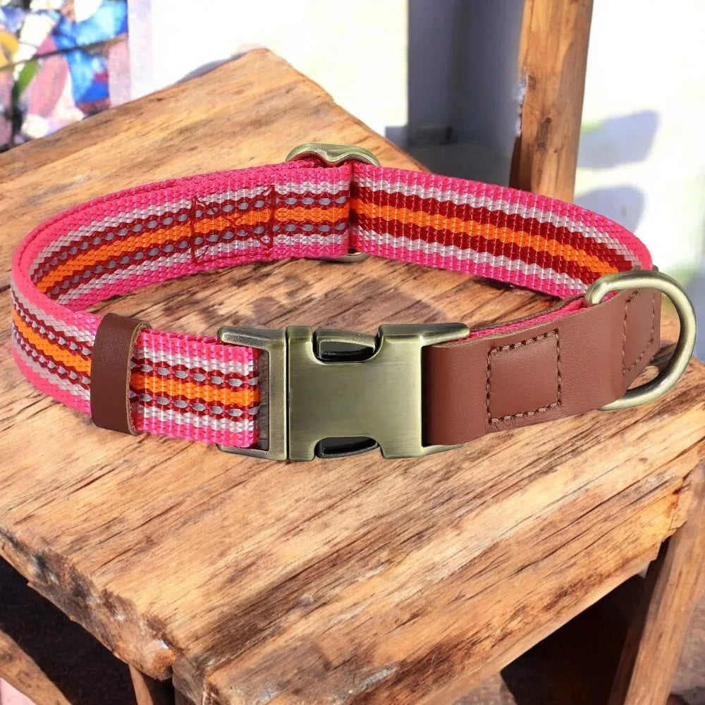 Collar de Nylon y Cuero para Perros