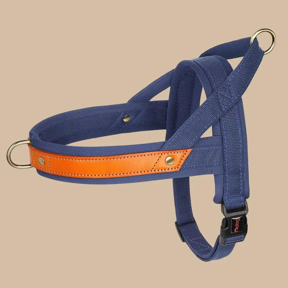 Árnes Perro Antitirones