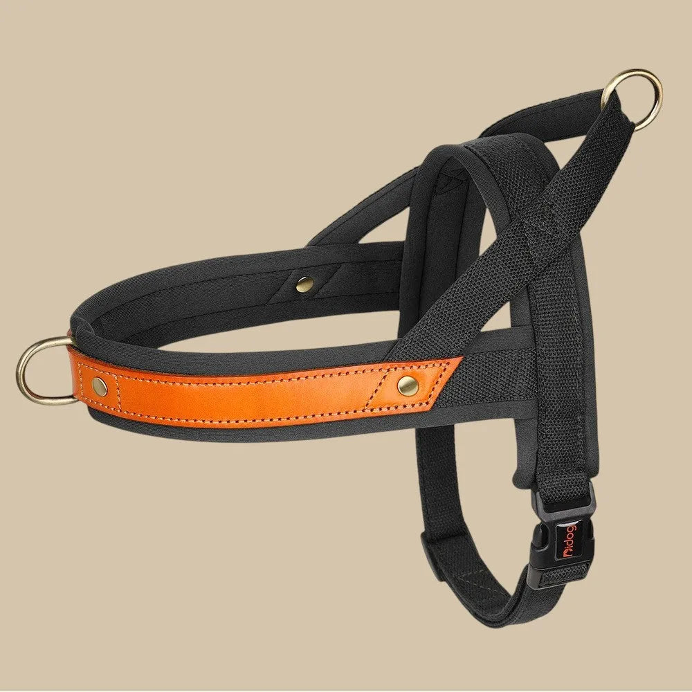 Árnes Perro Antitirones