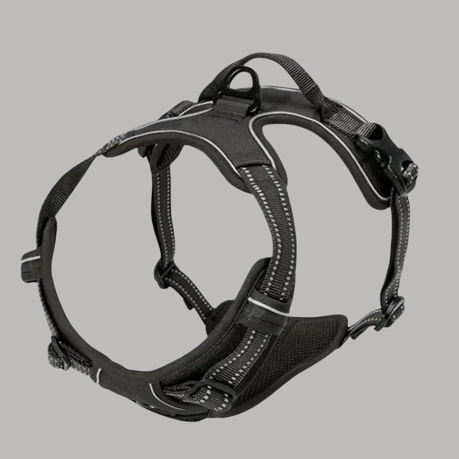 Arnés para Perros Vestido Negro