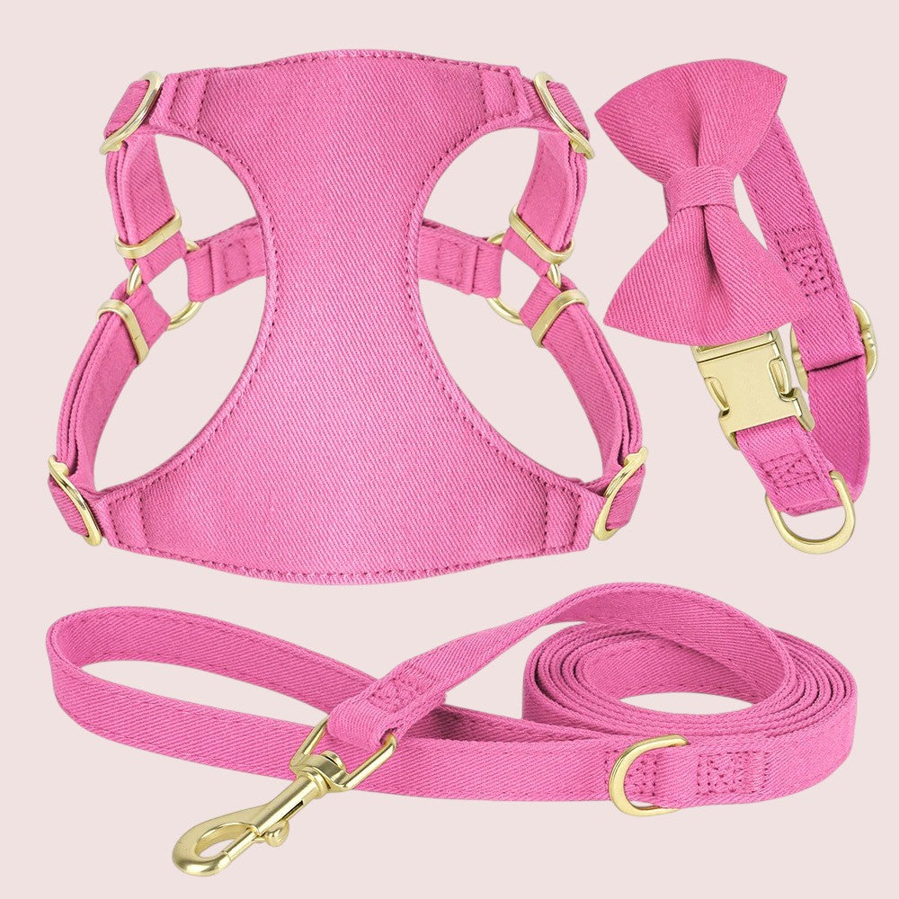 Arnés, Correa y Correa Rosa Antitirones para Perros Pequeños y Mini – Paseos con Estilo y Seguridad