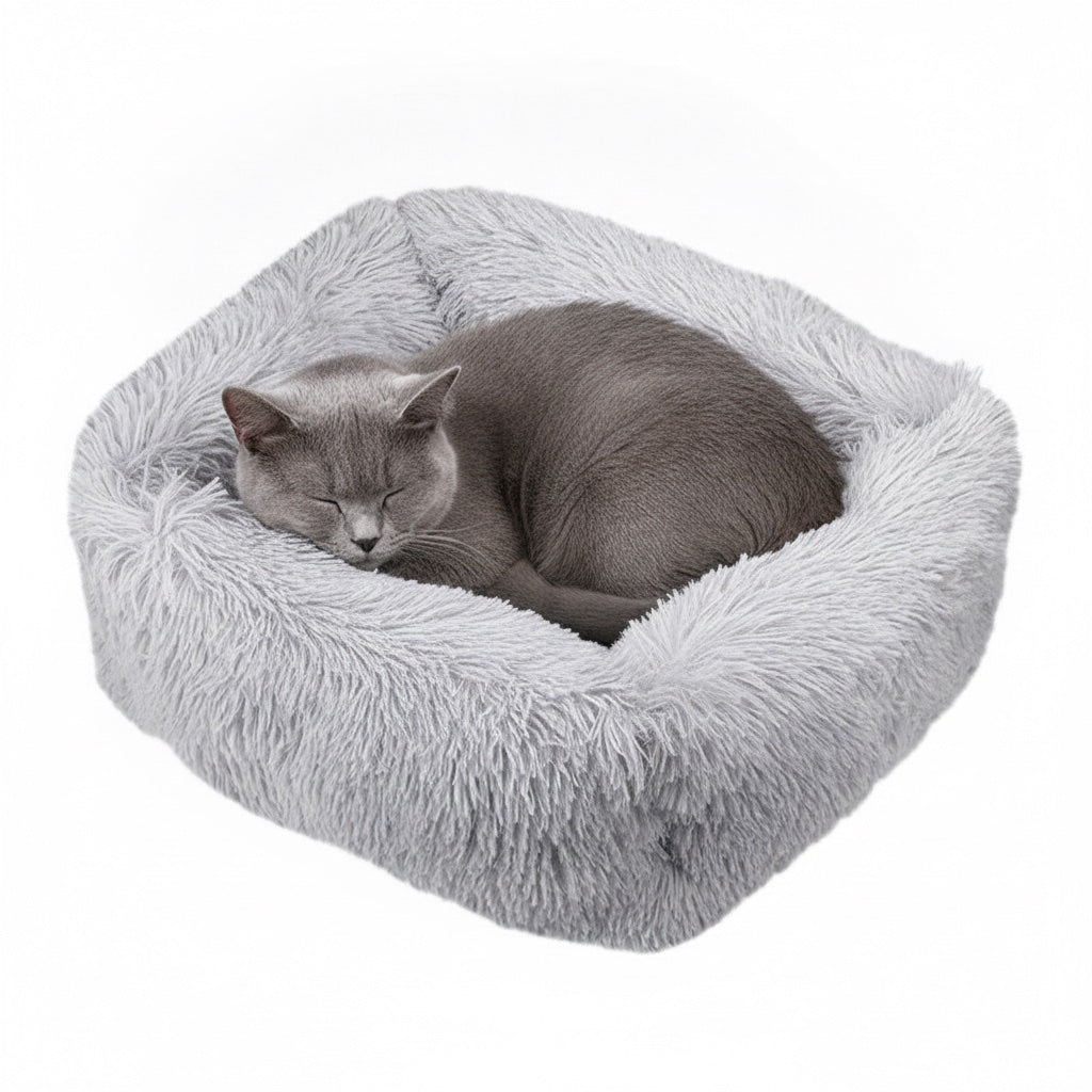 Gato británico de pelo corto acurrucado en la cama de peluche rectangular gris claro